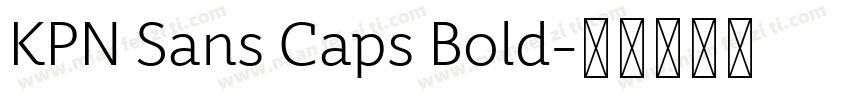 KPN Sans Caps Bold字体转换